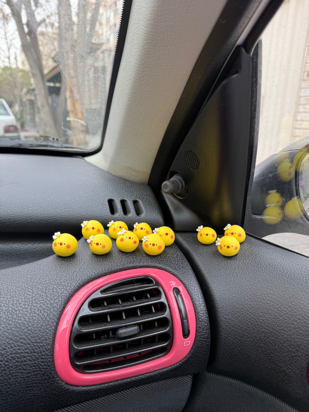 روداشبوردی جوجه گل به سر پک ۳ عددی