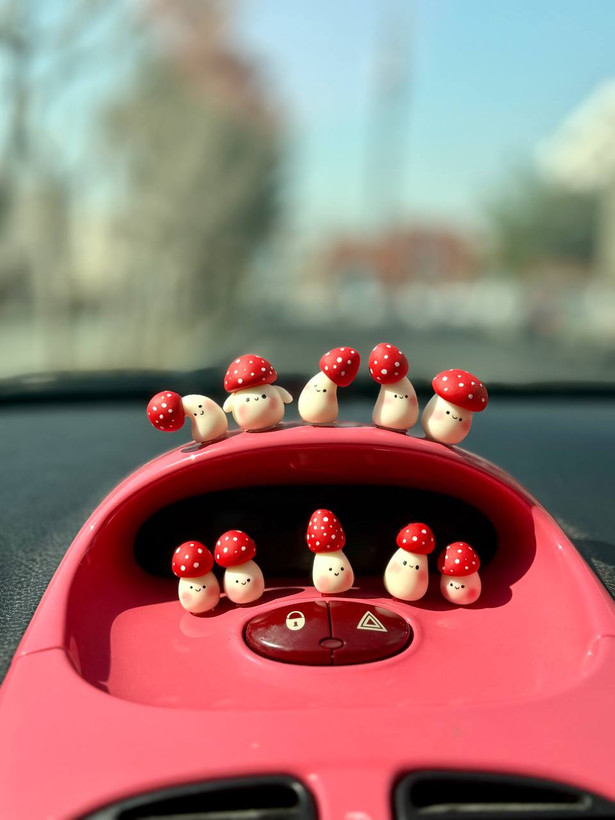 روداشبوردی قارچی خمیری پک ۳ عددی